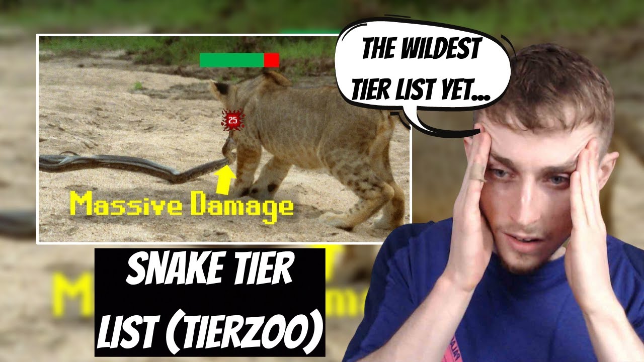 Реакция на TierZoo — список змей