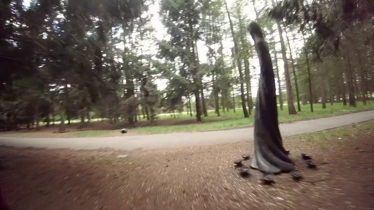 303D