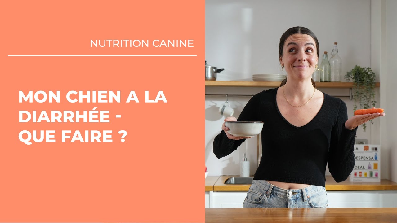 Mon chien a la diarrhée - Que faire ? 🐾
