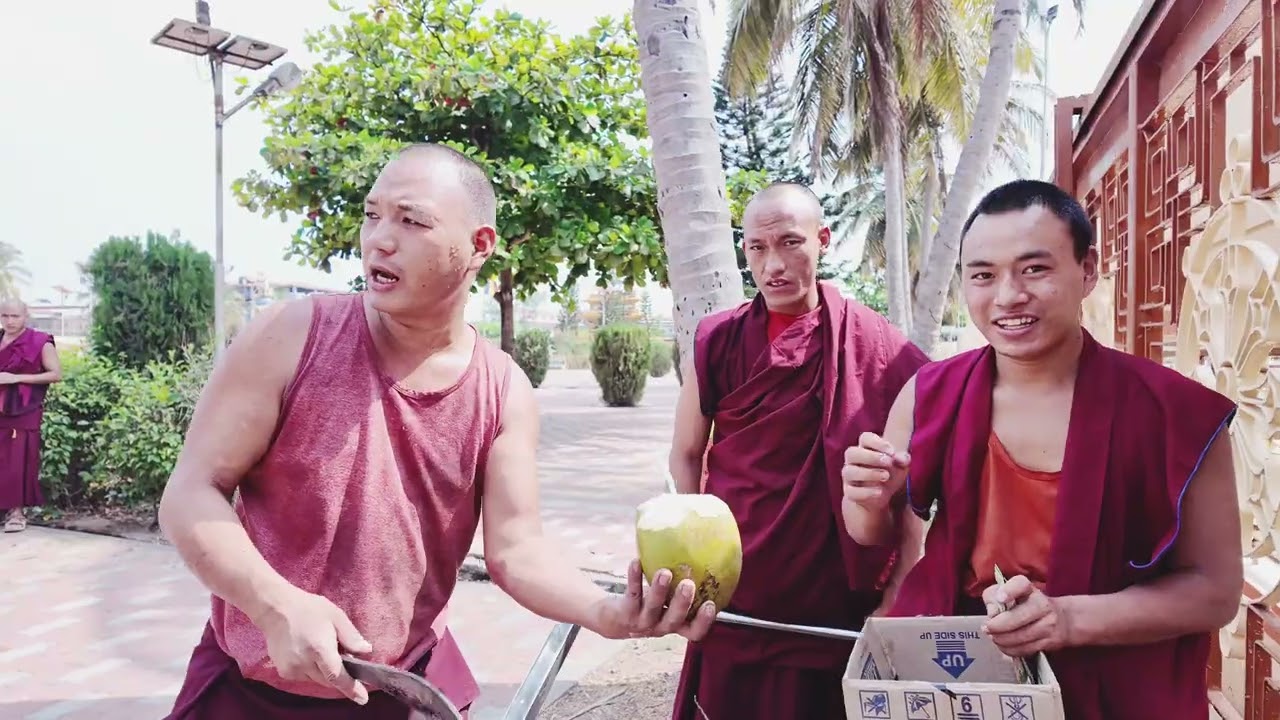 Jingsak in Mundgod ||Paris ||lhassabhumo 