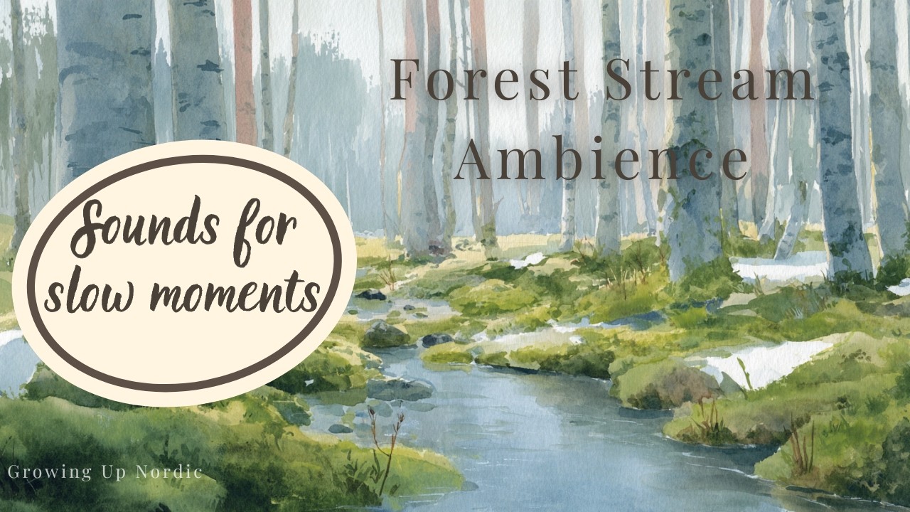 Forest Stream Ambience | Gentle Flow for Bedtime Calm | 1 hour