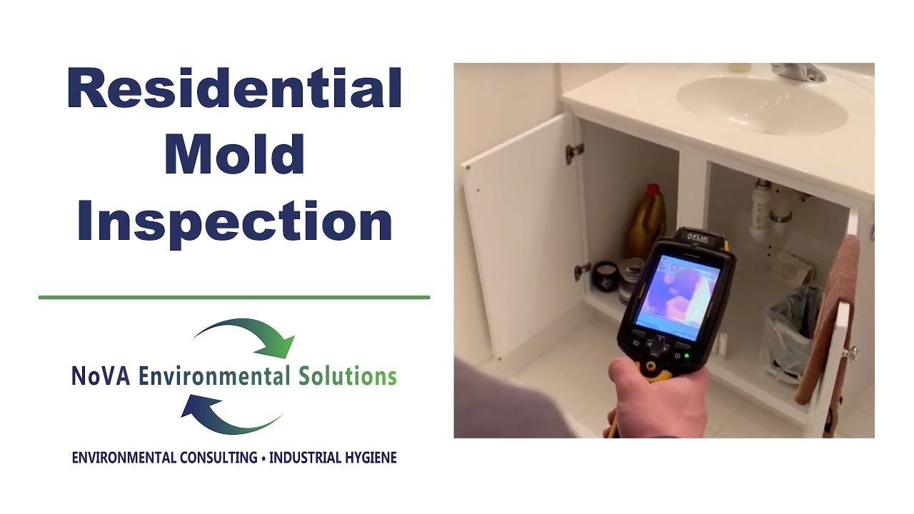 Residential Mold Inspection #mold #moldinspection #moldtesting