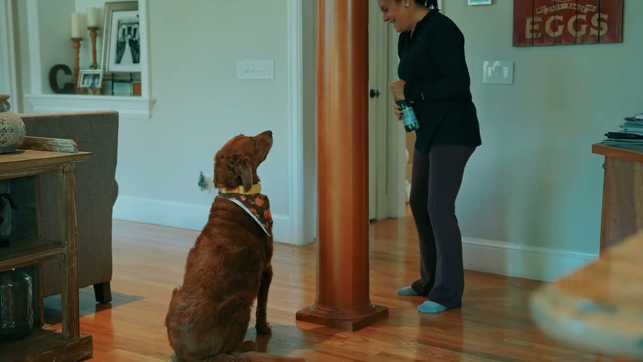 A Man's Best Friend