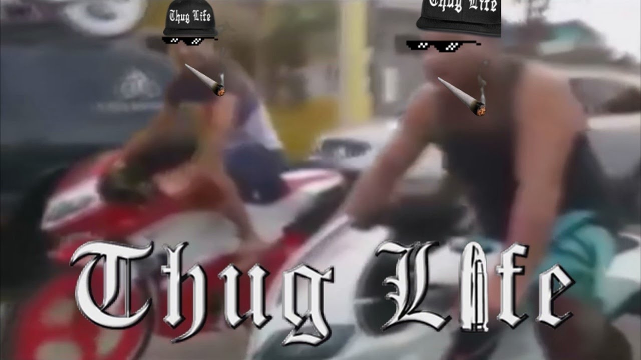 MELHORES THUG LIFE VIDEOS DAHORA #5