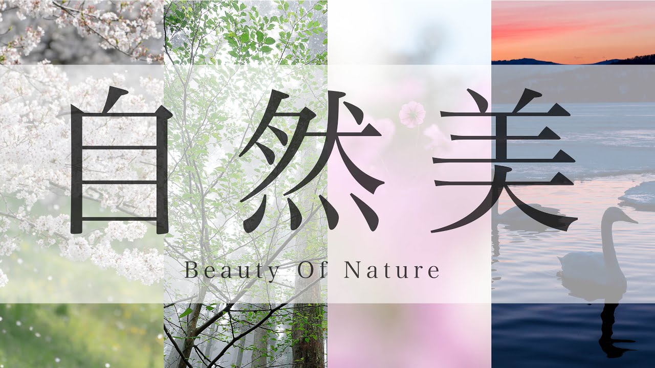 【自然風景写真】作例3（20枚）