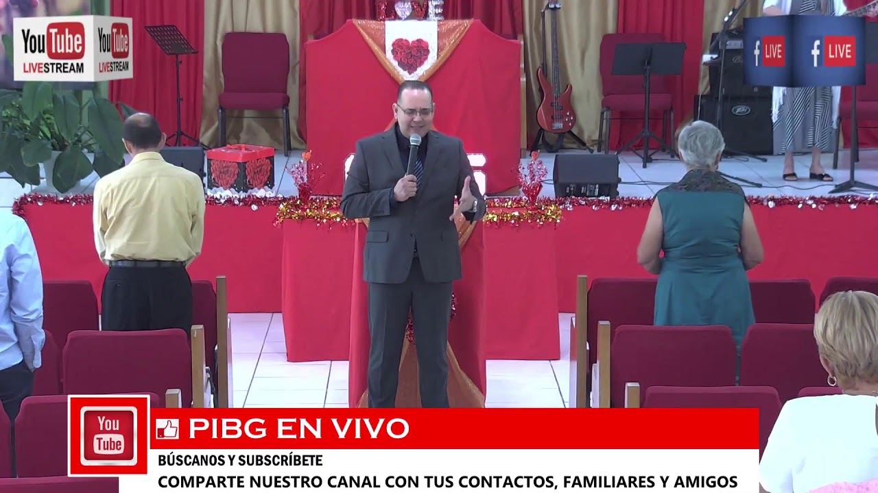 PIBG en ViVo