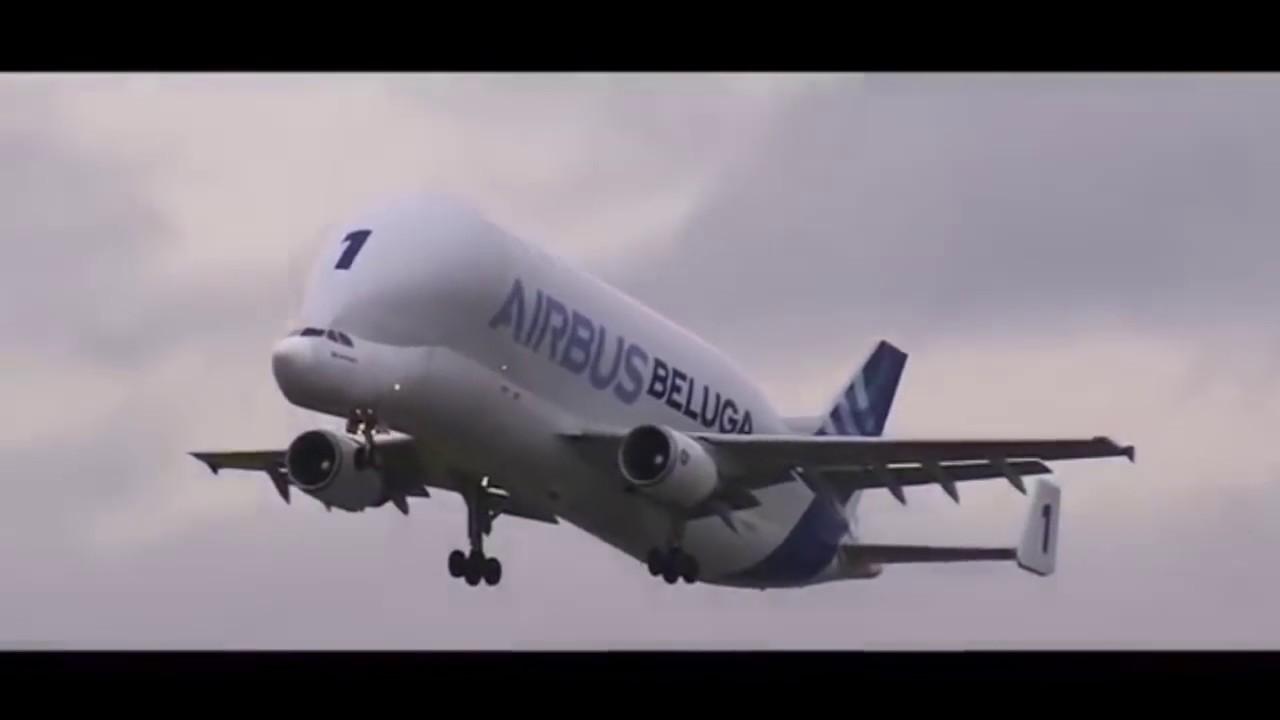Airbus Beluga XL: Short Documentary