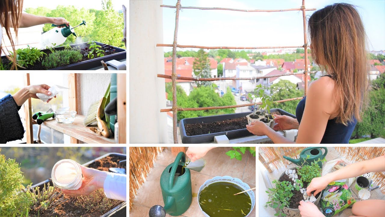 MOJ VRT NA BALKONU 2020./ MY BALCONY GARDEN 2020.