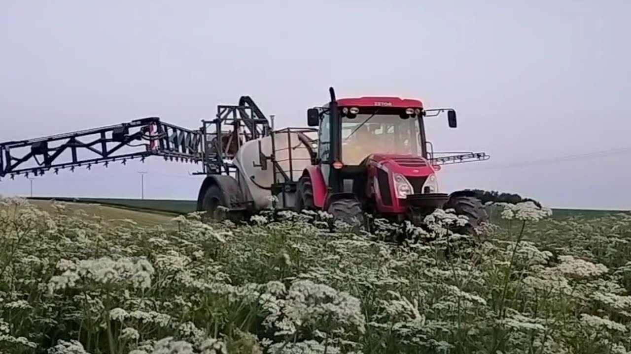 postřik kmínu 2023 /Zetor Proxima 120 /MGM Magma 3000 /REAL AGRO
