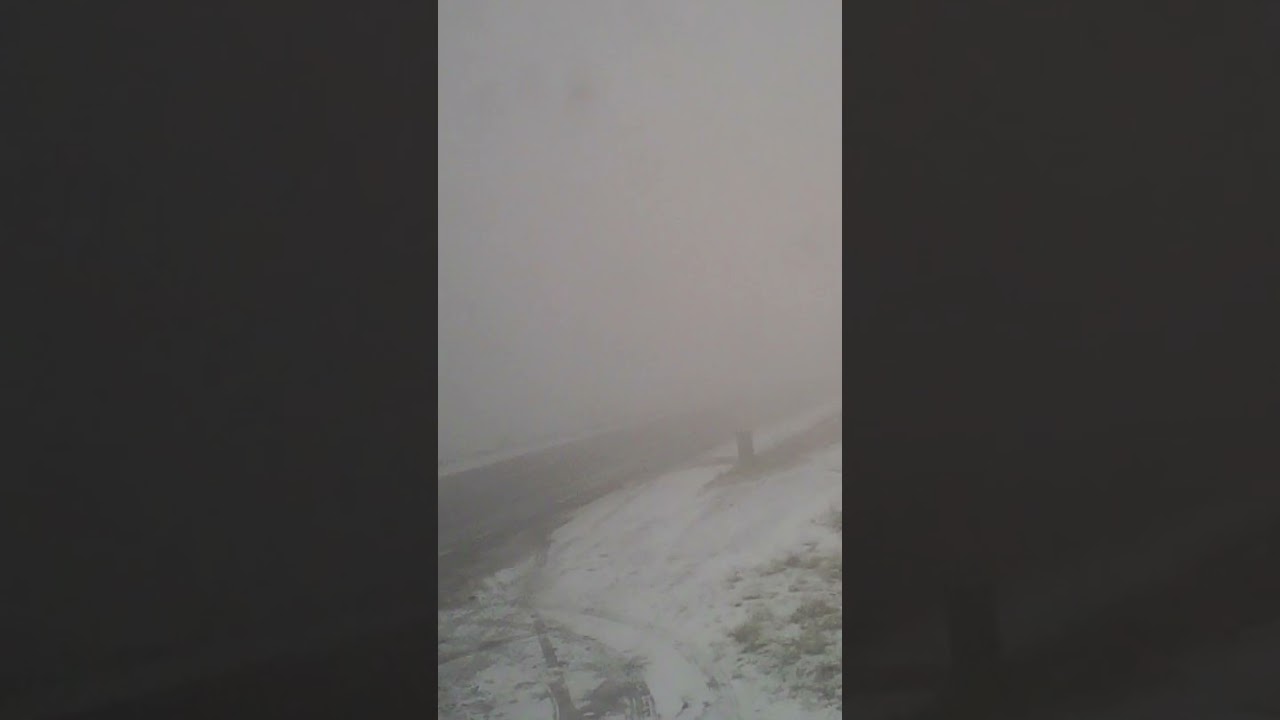 WHAT'S IT LIKE ON THE CAT AND FIDDLE TODAY...