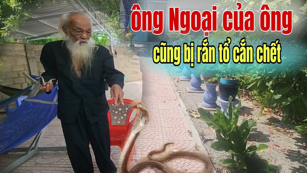 Thầy Rắn Ông Tư Đền Kể Ông Ngoại Bị Rắn Tổ Cắn C.hết Và Cái Kết Người Vỗ Miệng Hang Bắt Rắn