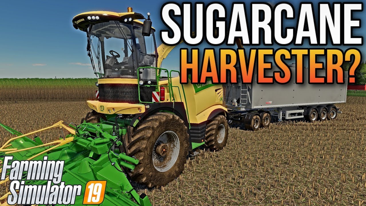 HUGE SUGARCANE HARVEST! | Dahl Ranch FS19