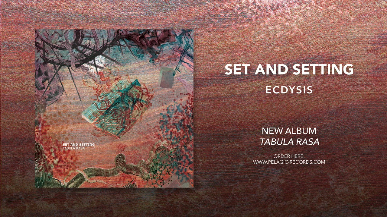 set and setting - Ecdysis