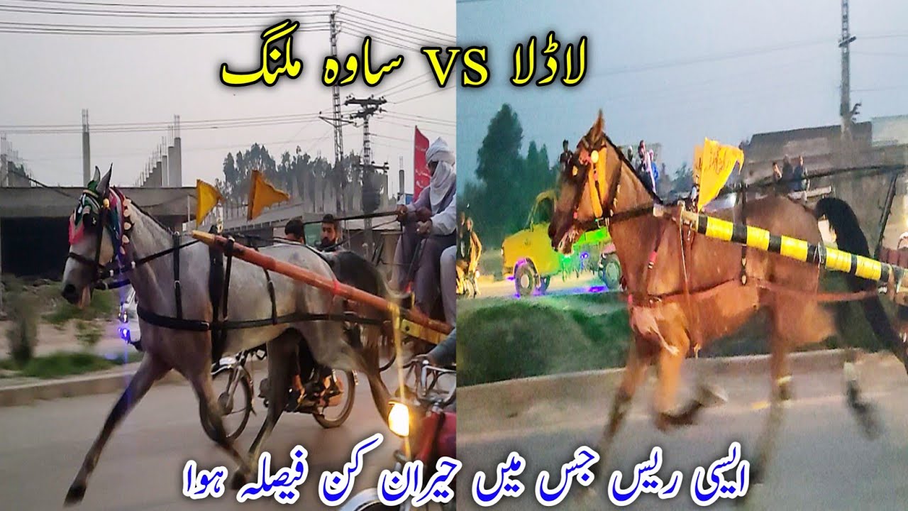 Tanga Race || Sawa Malang VS Ladla || 27/03/2022