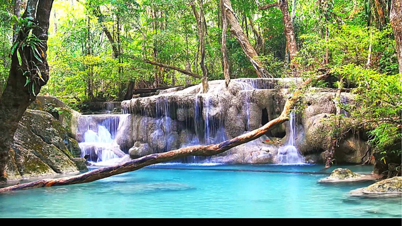 Calm Forest Waterfall – 4 Hours of Peaceful Nature Ambience