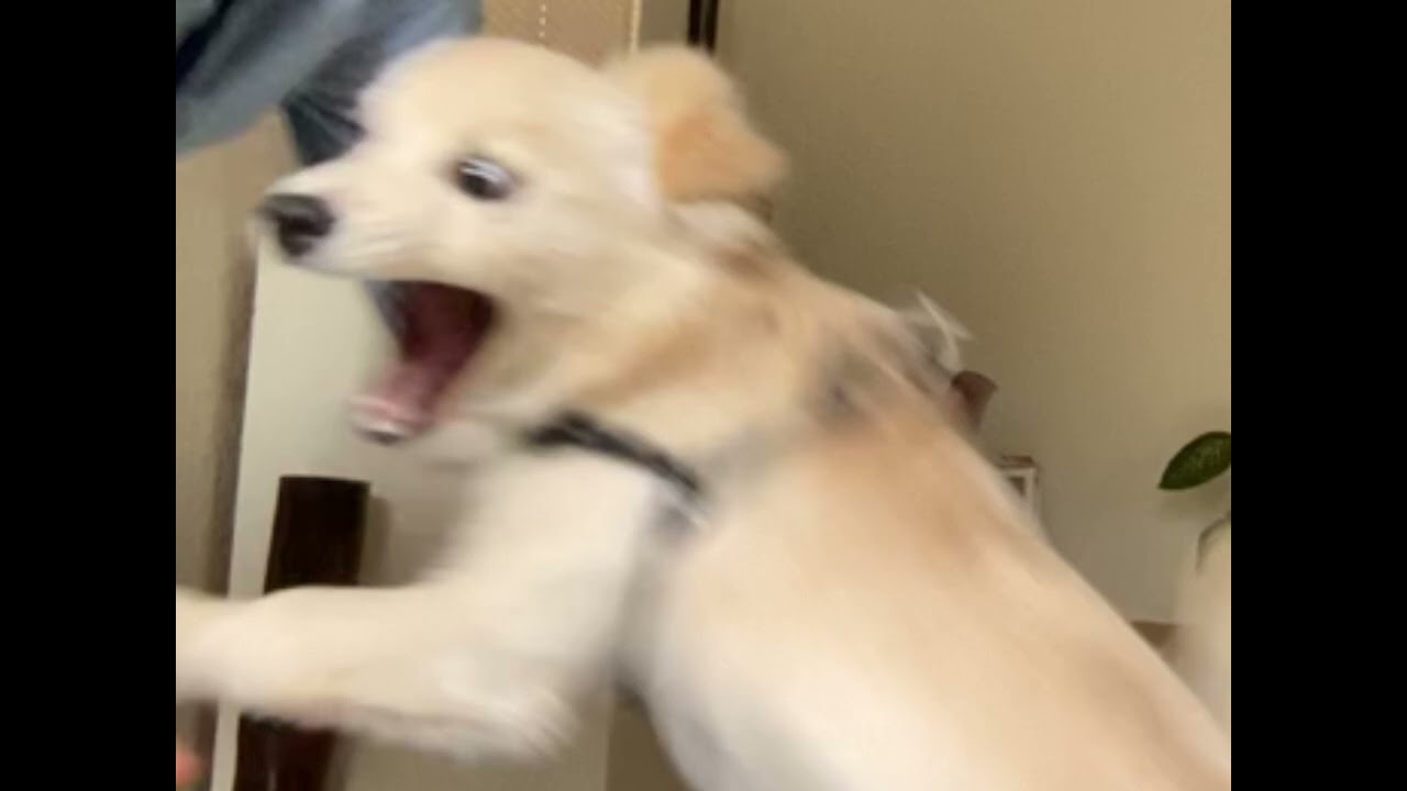 JLM- Short Song (official soundtrack)