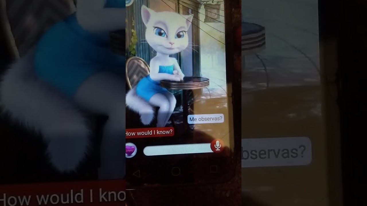 versión 2.5 de talking angela