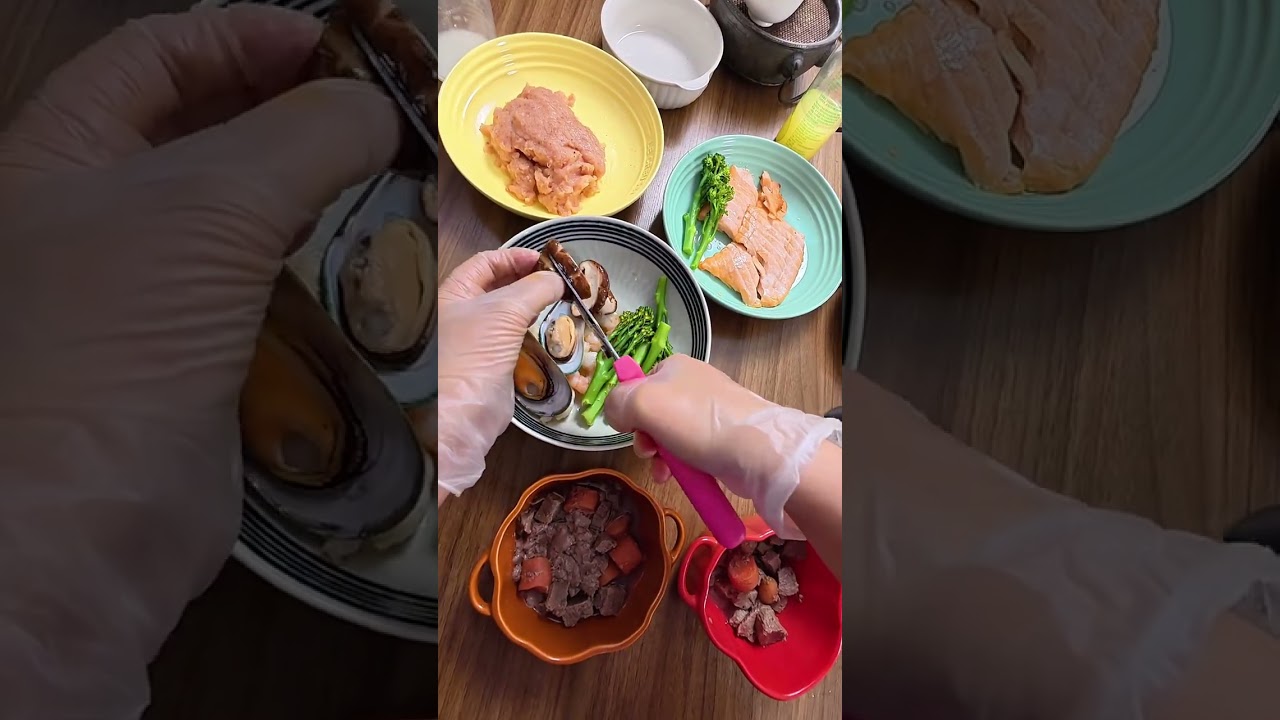 Puppy's New Year's Eve Dinner Frenzy! Greedy Dog at Home Vlog 1B Views Boost