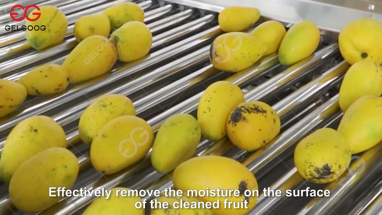 Mango Fruit Washing Waxing Machine Price