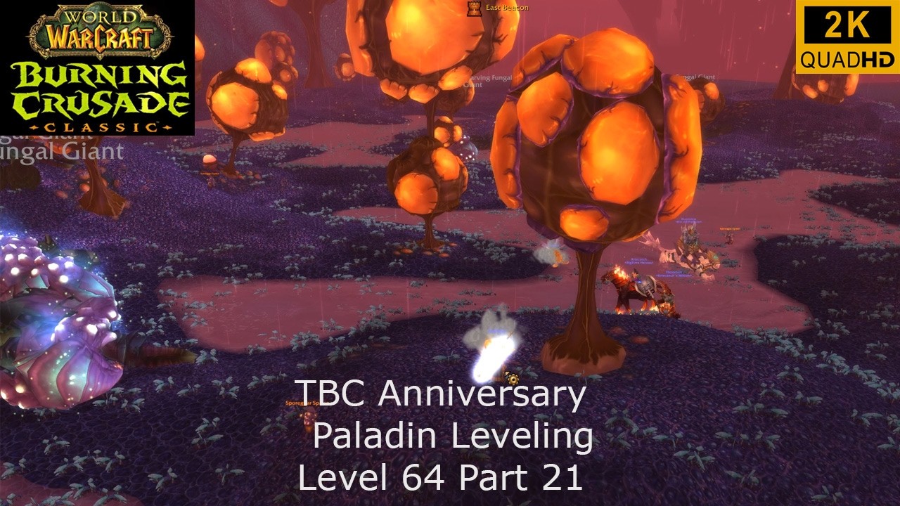 WoW TBC Anniversary | Paladin Leveling | Level 64 Part 21 | Retri Paladin PoV | No Commentary 2K