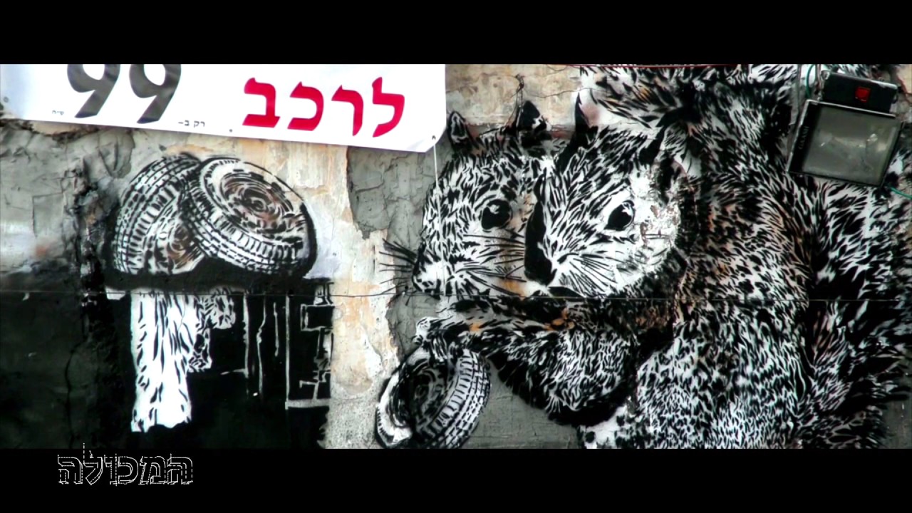 המכולה | רחוב - דדה, אמן גרפיטי שהפך את העיר לגלריה אחת ענקית וחכמה
