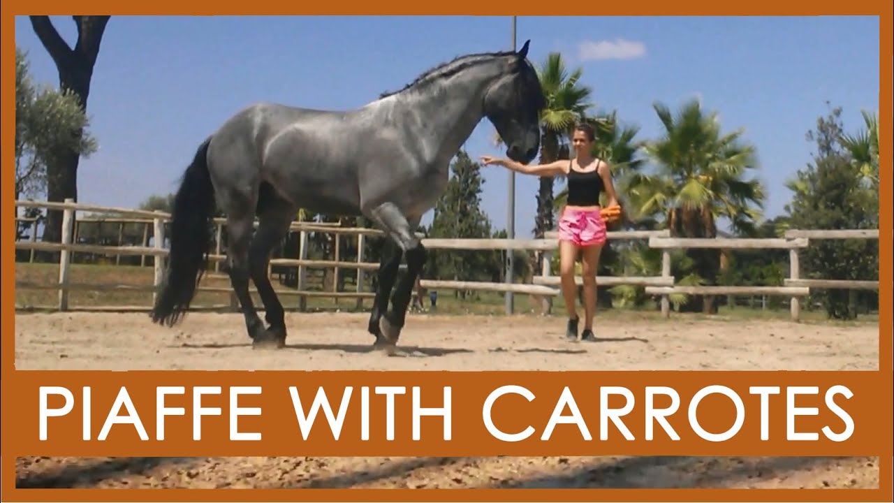Teaching PIAF With CARROTS