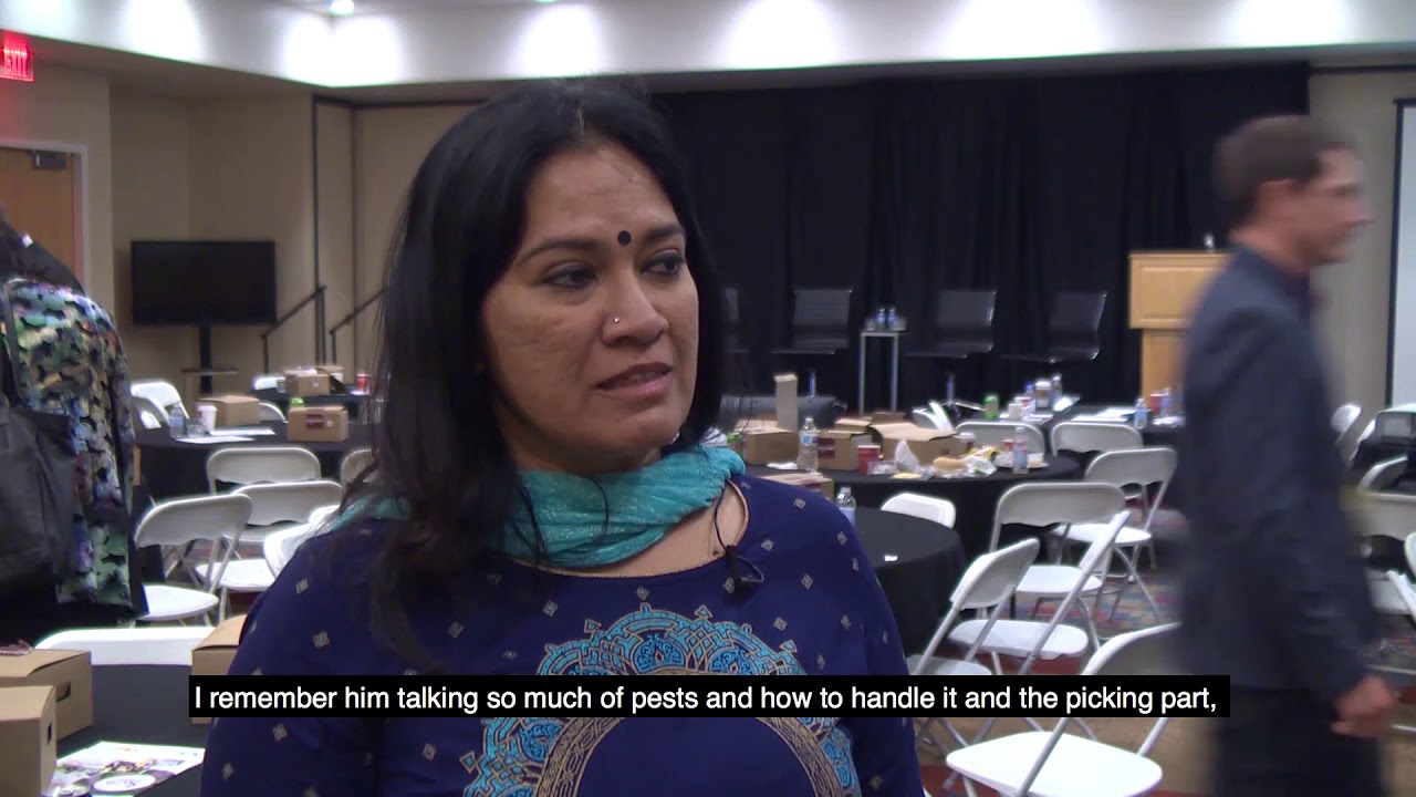 Indian farmer Sujathra says Bt cotton has transformed her farm