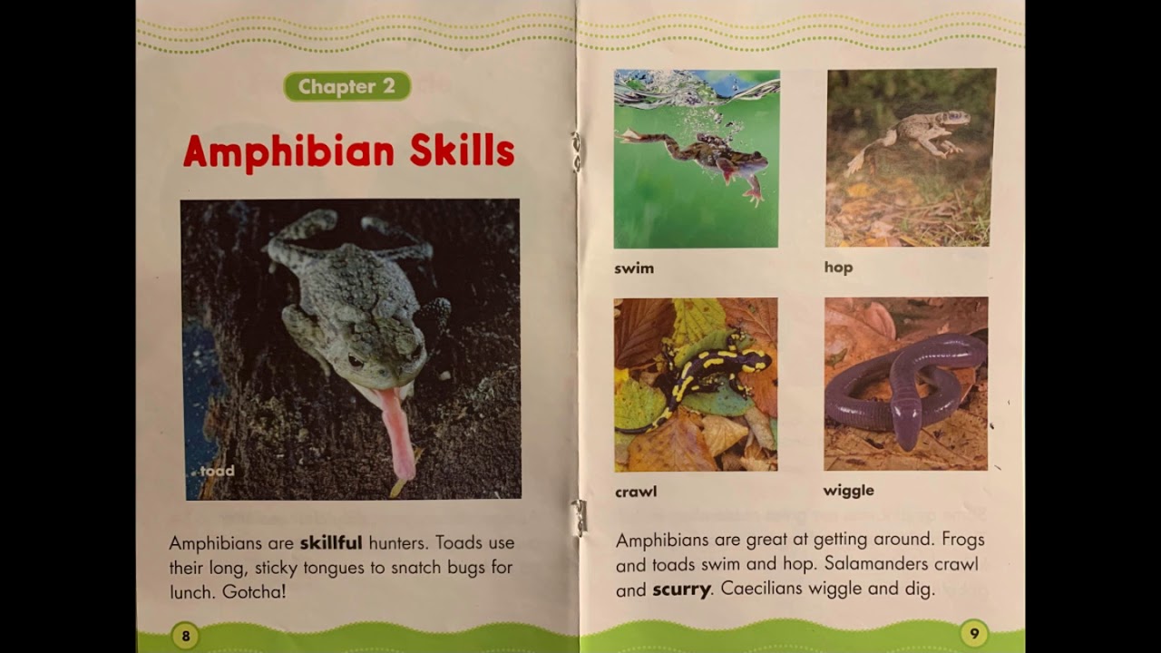Awesome Amphibians