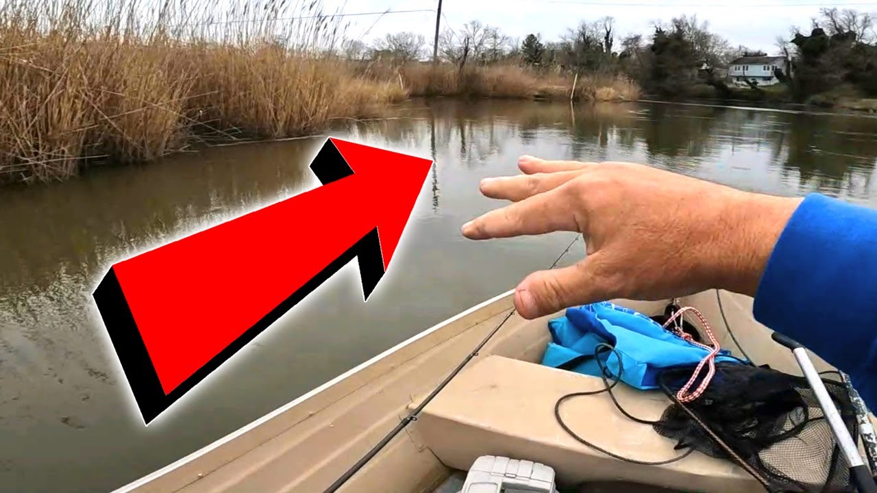 White Perch Fishing in Delaware