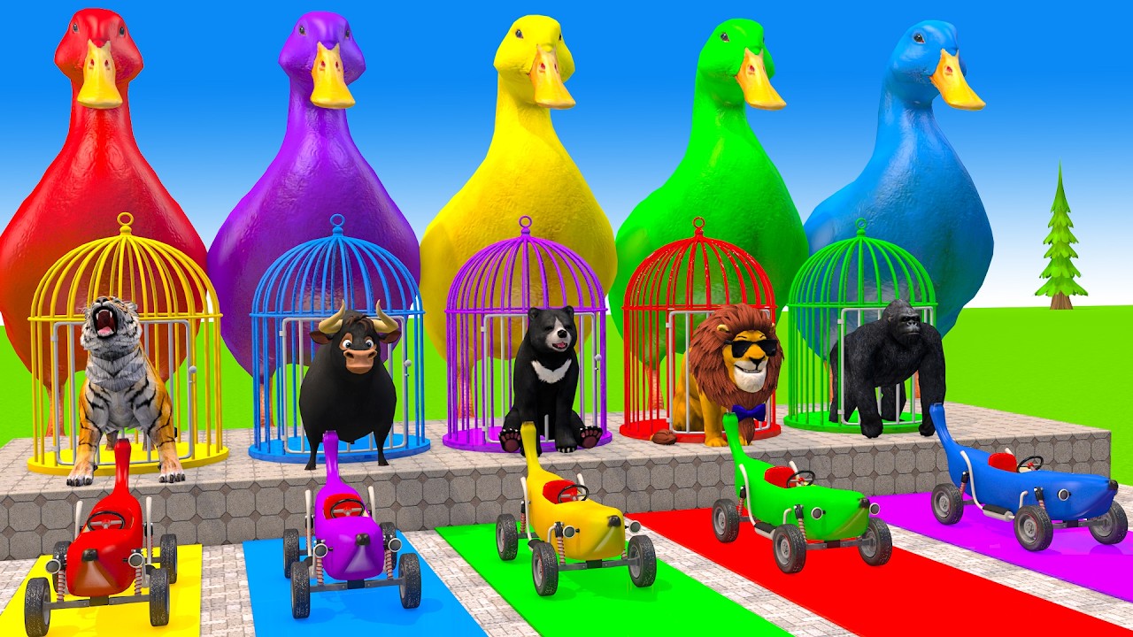 Long Slide Game With Cow Elephant Gorilla Hippopotamus Tiger 3d Animal Game Funny 3d Animals