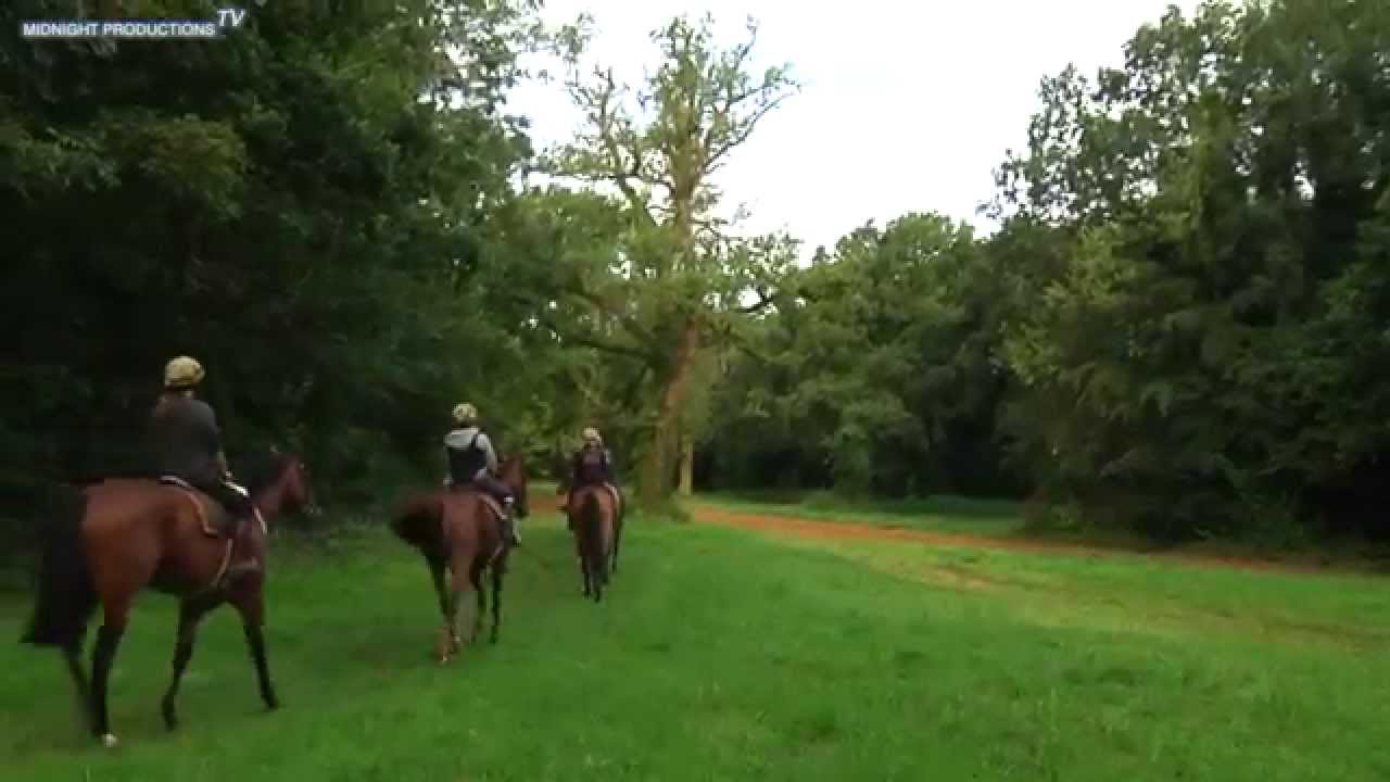 SIR MARK PRESCOTT BT Stable Visit (Part 1)