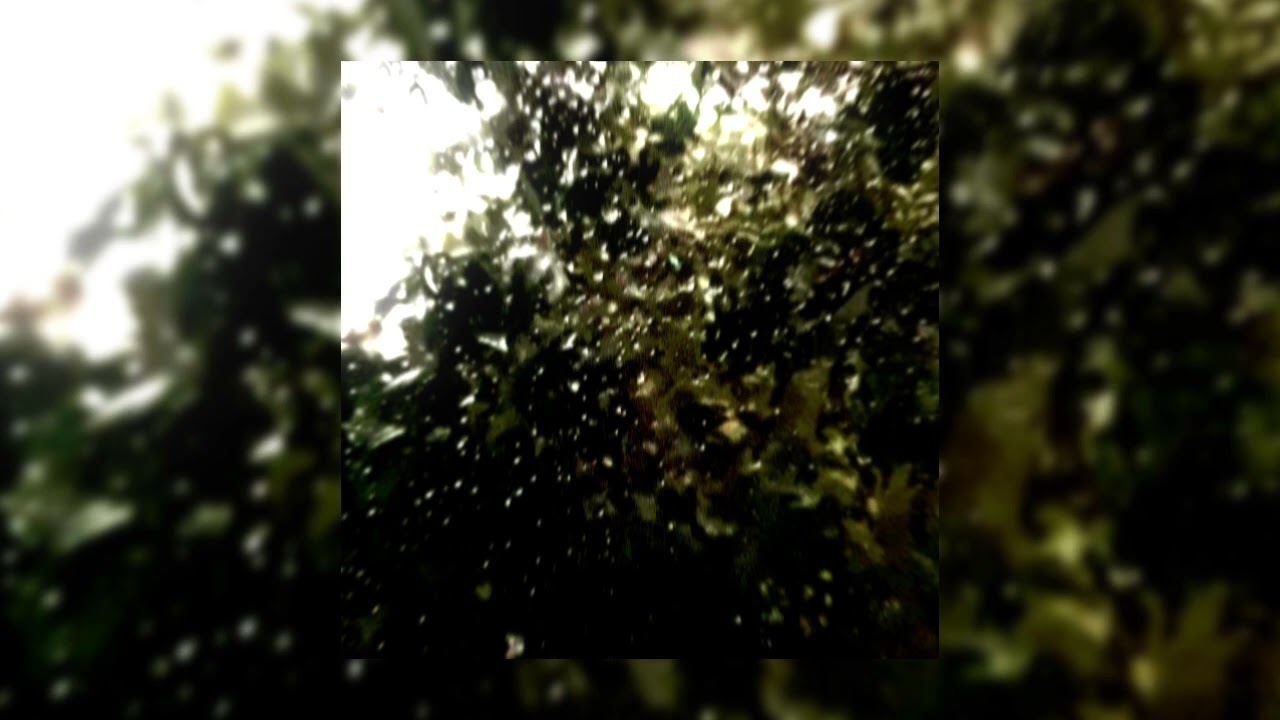 AnAngelsLostWings - AFTERMATH OF A HURRICANE