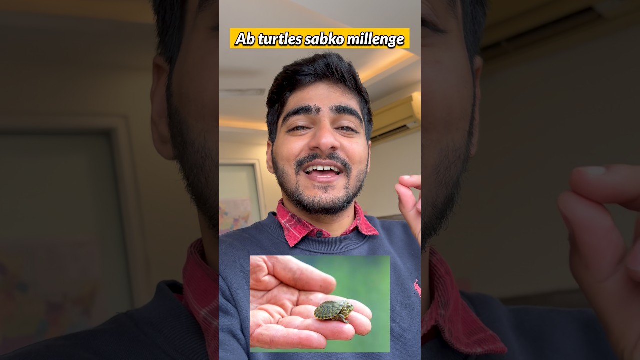 ( Aab sabko tortoise milenge ) 