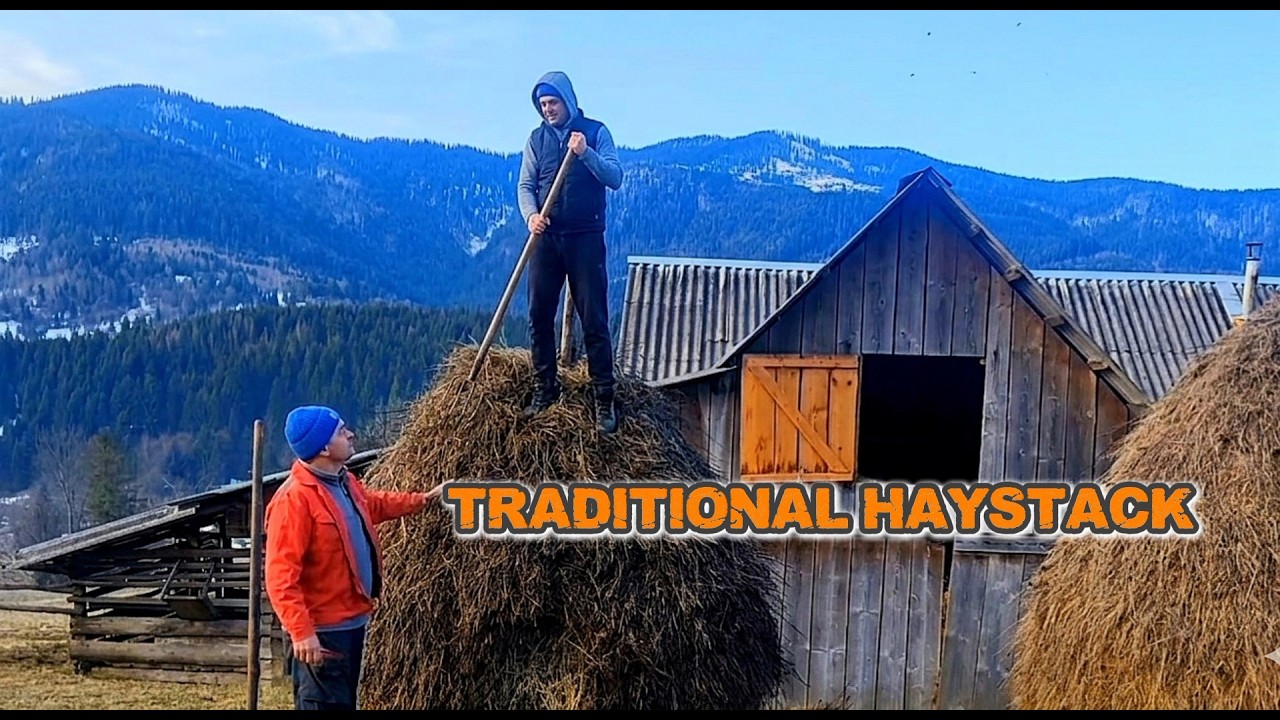 How We Store Hay for the Cows | Mountain Village Life 🌾🐄