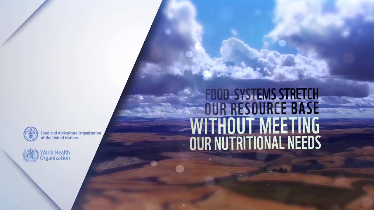 What are food systems?