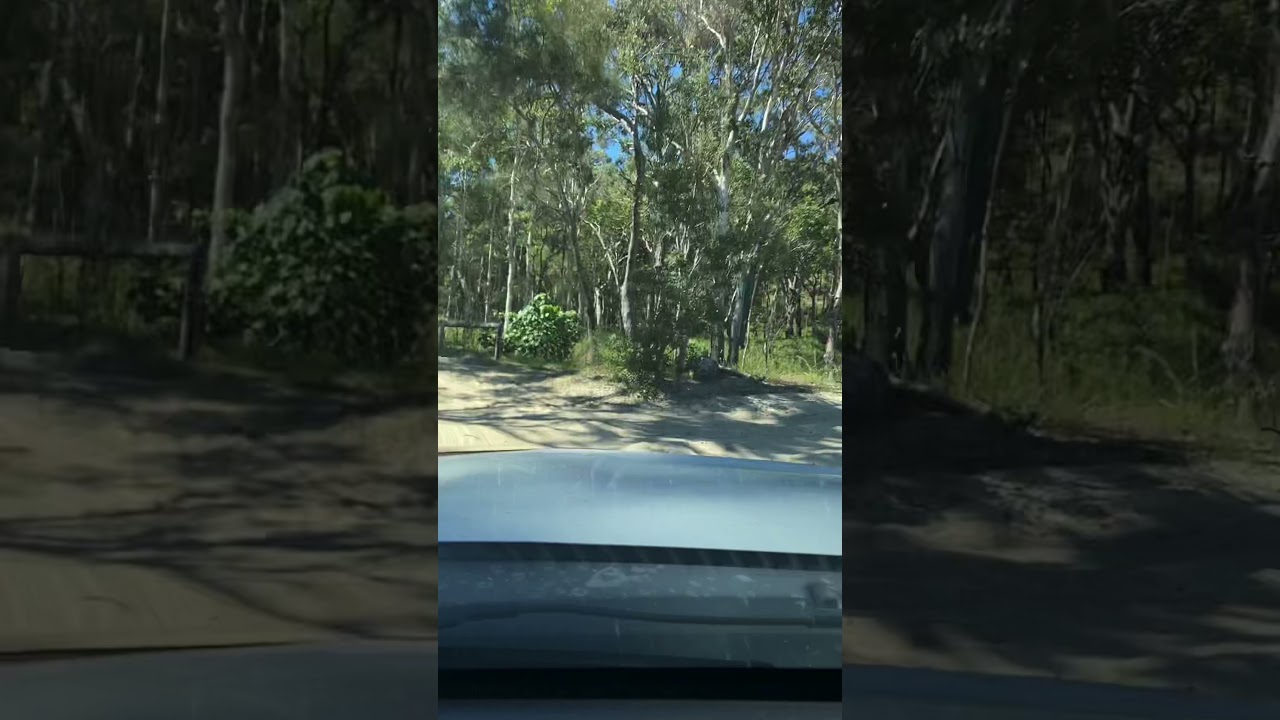 Moreton Island, Ben-Ewa campground