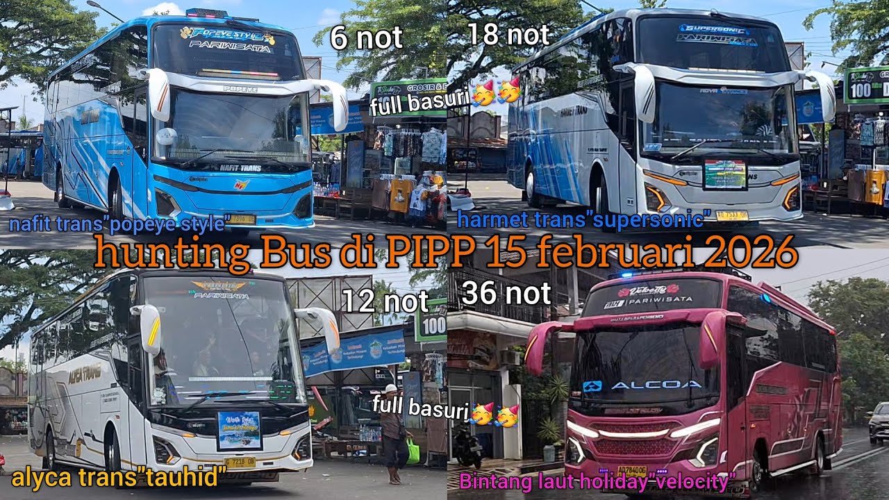 hunting Bus di PIPP 15 februari 2026.full basuri sama hujan deres‼️🥳