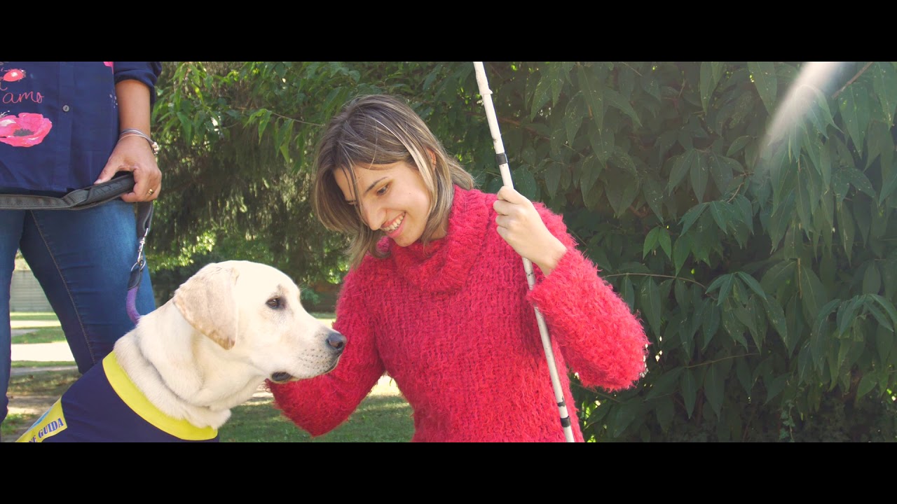 Centro Cani Guida Lions 2019 5 minuti HD