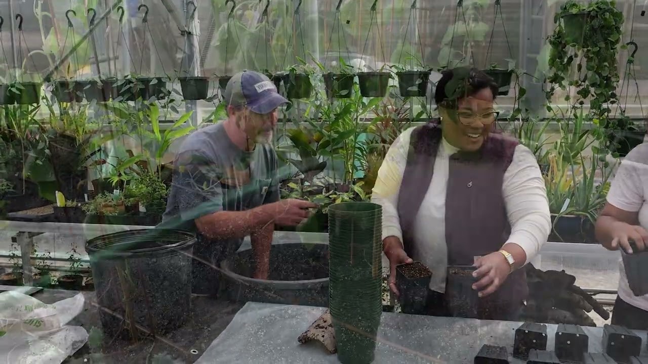 A Night in the Valley Special Appeal 2026: Andrea Ross