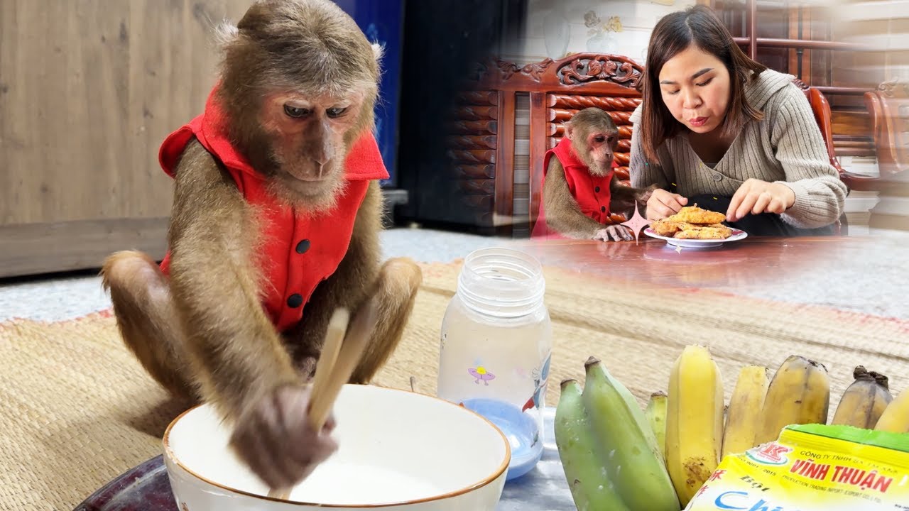 Master Cheff! Let's See Cutis Show Off Supper Skill Make Banana Cake to Give Mom!