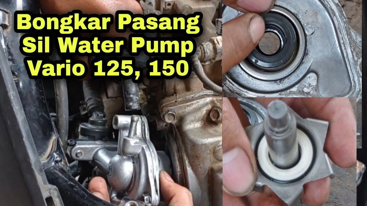 Cara Ganti Sil Water Pump Vario 125, 150 | Bongkar Pasang Pompa Radiator
