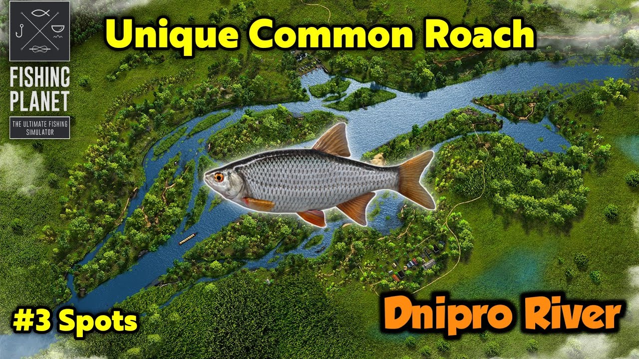 Unique Common Roach Dnipro River - Fishing Planet