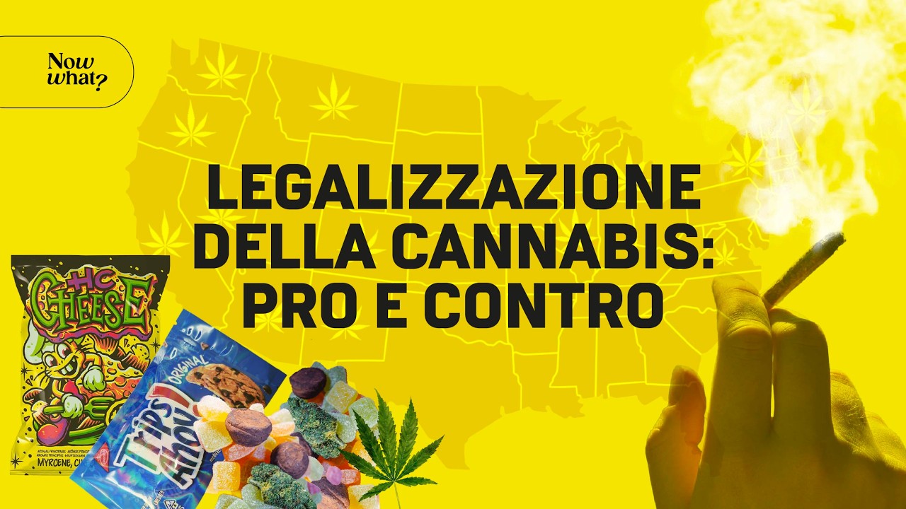 Legalizzazione della cannabis: pro e contro (l&rsquo;esperienza americana)