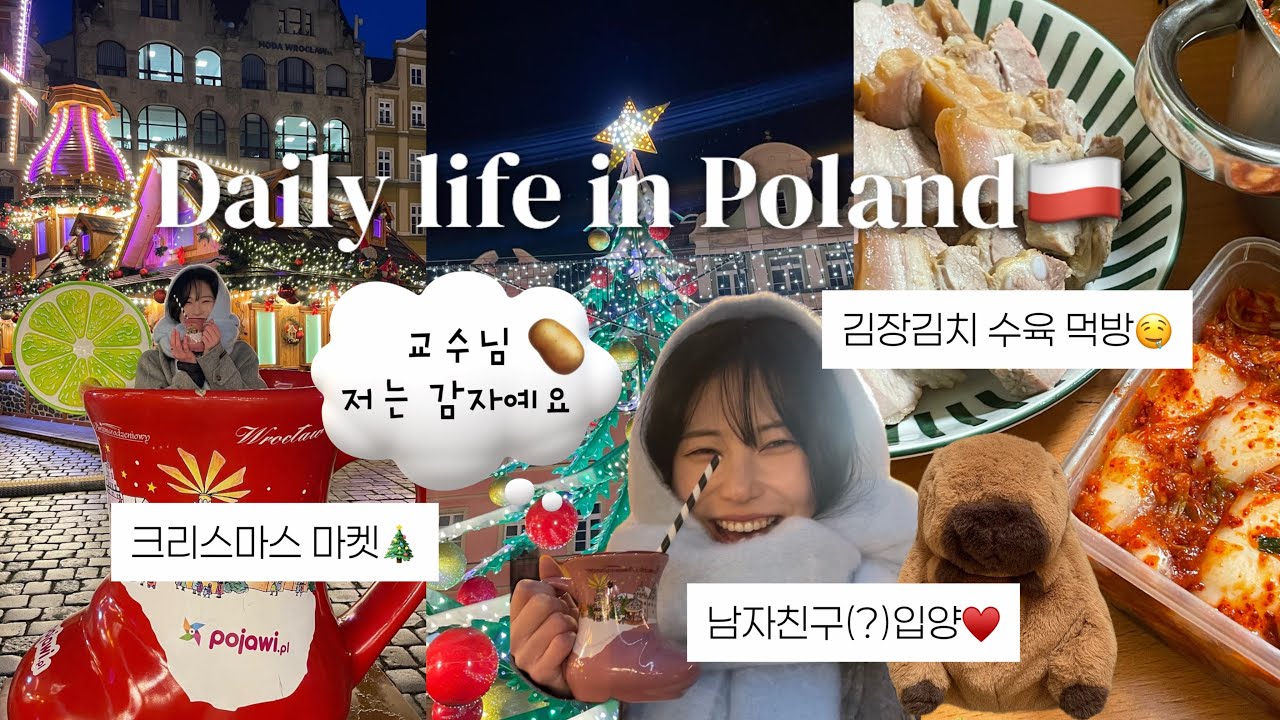 (ENG) 폴란드 유학생의 일상: 교수님, 저는 그냥 말도 못하는 감자일뿐이예요🥔...