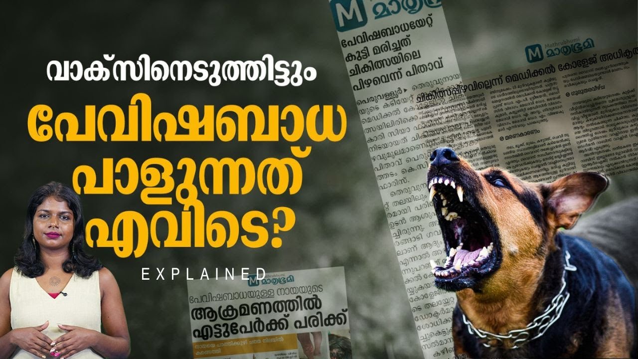 പേവിഷബാധ: പ്രതിരോധം പിഴയ്ക്കുന്നതെവിടെ? ജീവന്‍ രക്ഷിക്കാന്‍ എന്തു ചെയ്യണം? | EXPLAINED