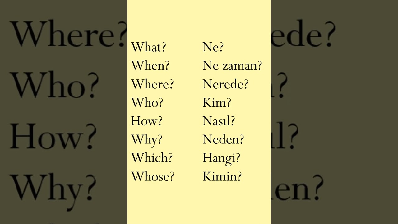 Learn question words in Turkish