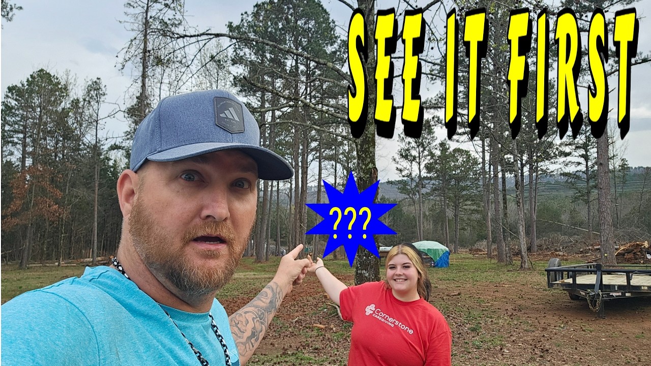 LOOK WHAT I DID FIRST LOOK |tiny house, homesteading off-grid cabin build DIY HOW TO sawmill tractor