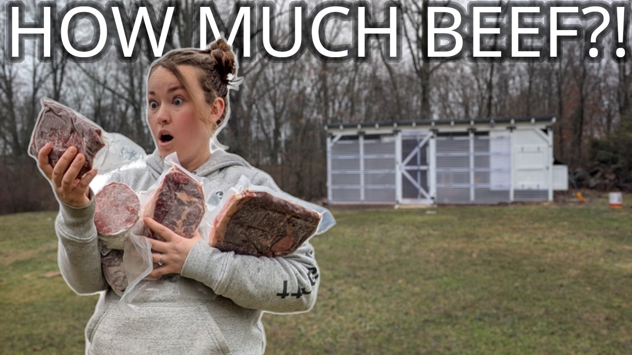 We Bought A Half Beef, We Weren't Expecting THIS MUCH MEAT!!
