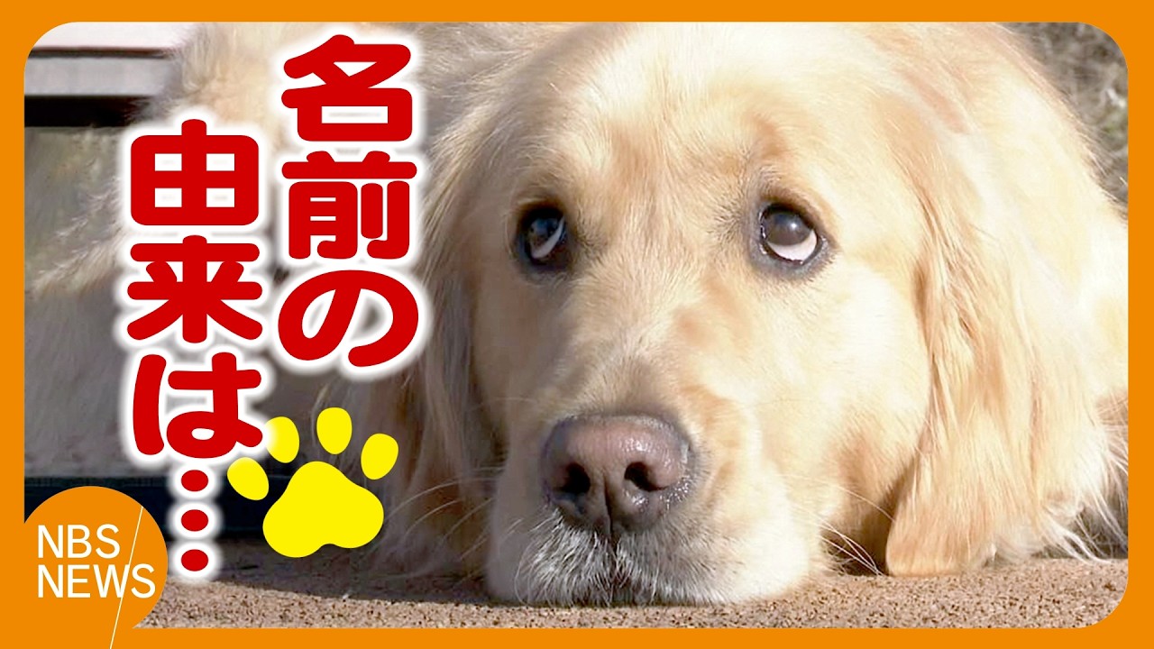 青空がきれいな日にやって来た「そら」