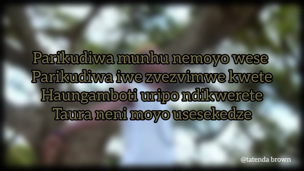 Sorah TMB ft Saintfloew _-_ Parikuda Munhu (Lyrics)